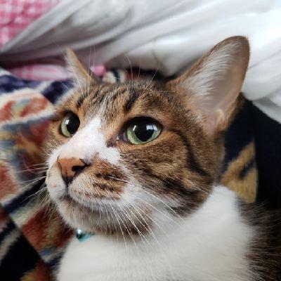 KeisukeSawa アイコン